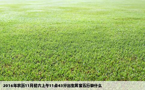 2016年农历11月初六上午11点43分出生男宝五行缺什么