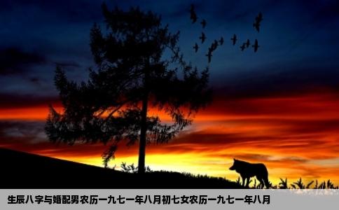生辰八字与婚配男农历一九七一年八月初七女农历一九七一年八月