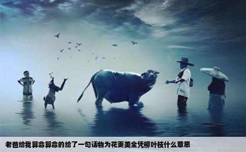 老爸给我算命算命的给了一句话物为花更美全凭柳叶枝什么意思
