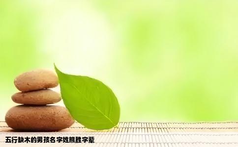 五行缺木的男孩名字姓熊胜字辈