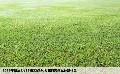 2015年阴历3月18晚22点5o分生的男孩五行缺什么