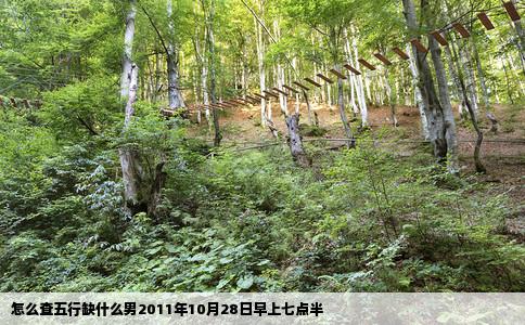 怎么查五行缺什么男2011年10月28日早上七点半