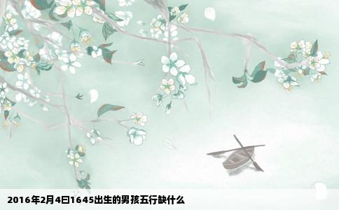 2016年2月4曰1645出生的男孩五行缺什么