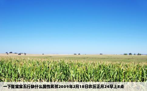一下我宝宝五行缺什么属性男孩2009年2月18日农历正月24早上8点