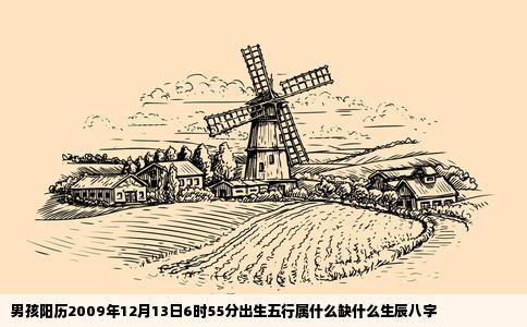 男孩阳历2009年12月13日6时55分出生五行属什么缺什么生辰八字