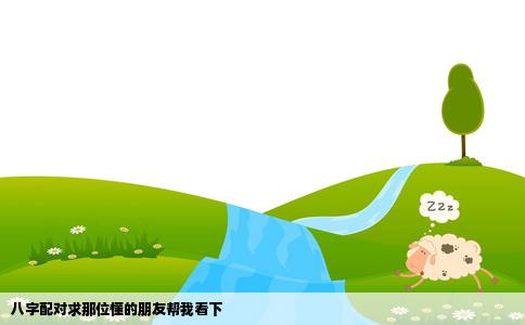 八字配对求那位懂的朋友帮我看下