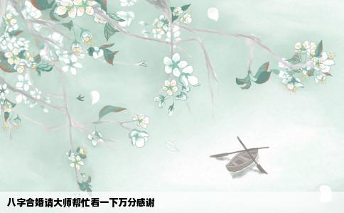 八字合婚请大师帮忙看一下万分感谢