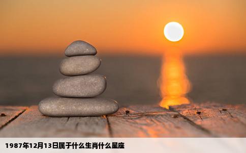 1987年12月13日属于什么生肖什么星座