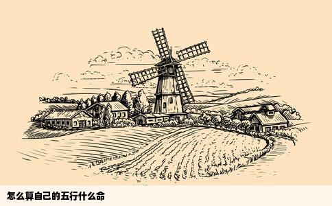 怎么算自己的五行什么命