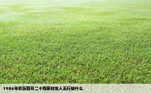 1986年农历四月二十四辰时生人五行缺什么