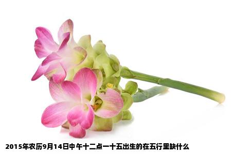 2015年农历9月14日中午十二点一十五出生的在五行里缺什么