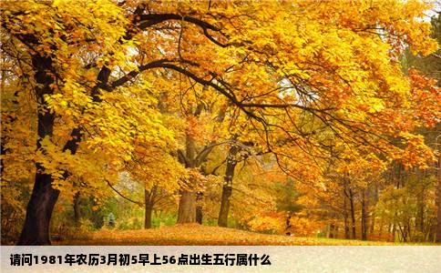 请问1981年农历3月初5早上56点出生五行属什么