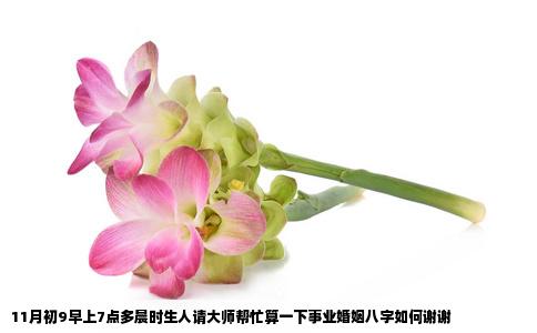 11月初9早上7点多晨时生人请大师帮忙算一下事业婚姻八字如何谢谢