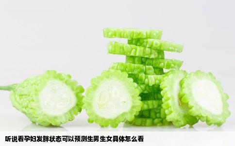 听说看孕妇发胖状态可以预测生男生女具体怎么看