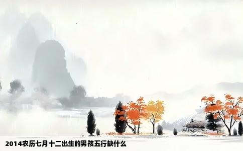 2014农历七月十二出生的男孩五行缺什么
