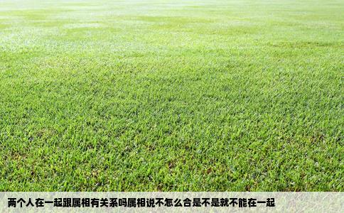 两个人在一起跟属相有关系吗属相说不怎么合是不是就不能在一起