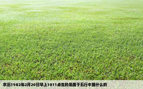 农历1982年2月20日早上1011点生的是属于五行中属什么的