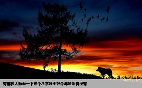 有那位大师看一下这个八字好不好今年婚姻有没有