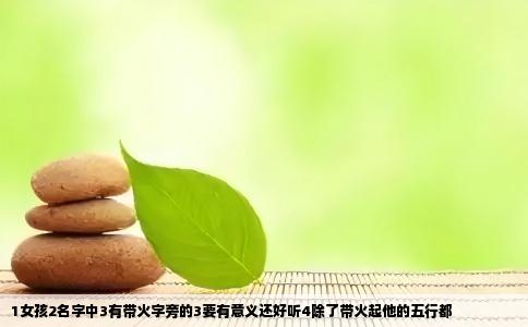 1女孩2名字中3有带火字旁的3要有意义还好听4除了带火起他的五行都