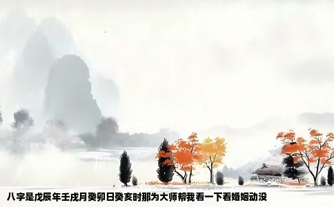 八字是戊辰年壬戌月癸卯日癸亥时那为大师帮我看一下看婚姻动没