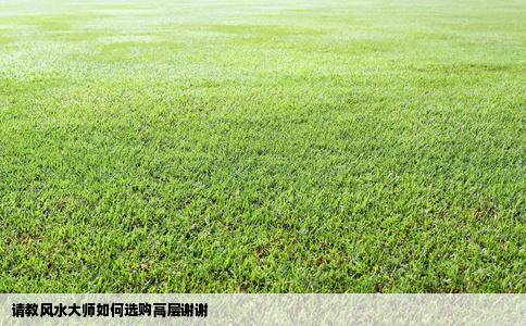 请教风水大师如何选购高层谢谢