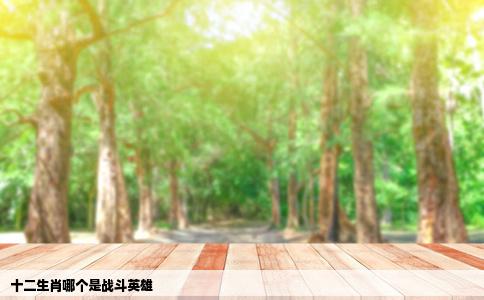 十二生肖哪个是战斗英雄