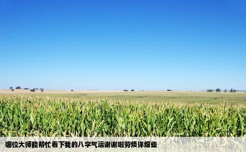 哪位大师能帮忙看下我的八字气运谢谢啦劳烦详细些