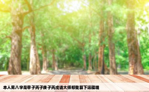 本人男八字是甲子丙子庚子丙戌请大师帮我算下运程哦