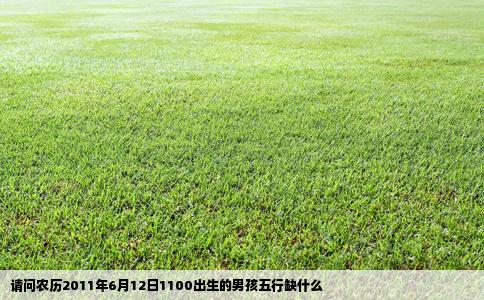 请问农历2011年6月12日1100出生的男孩五行缺什么