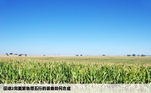 征途2完美紫色带五行的装备如何合成