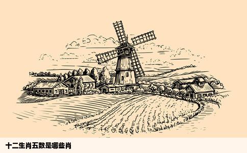 十二生肖五数是哪些肖