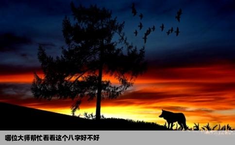哪位大师帮忙看看这个八字好不好