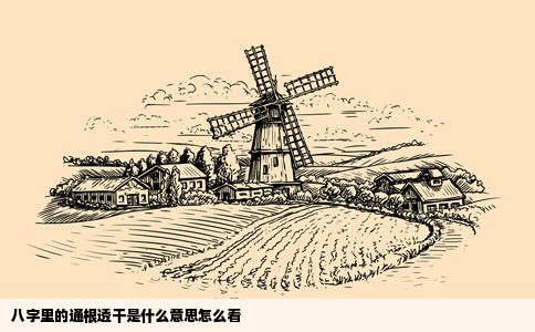八字里的通根透干是什么意思怎么看