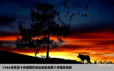1986年农历十月初四巳时出生的生辰八字是怎样的