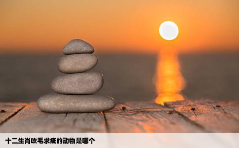 十二生肖吹毛求疵的动物是哪个