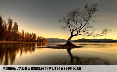 求测生辰八字起名男孩姓刘2011年1月14日16时10分生