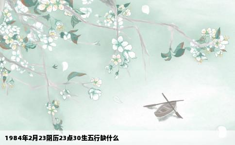 1984年2月23阴历23点30生五行缺什么