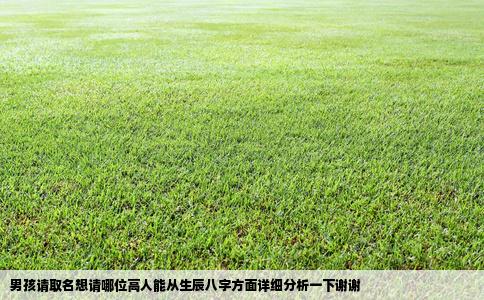 男孩请取名想请哪位高人能从生辰八字方面详细分析一下谢谢