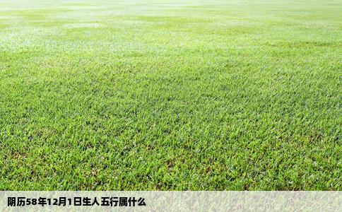 阴历58年12月1日生人五行属什么