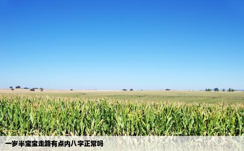 一岁半宝宝走路有点内八字正常吗