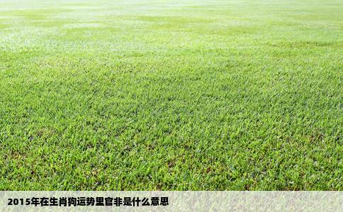 2015年在生肖狗运势里官非是什么意思