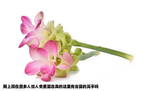 网上现在很多人给人免费算命真的这里有会算的高手吗