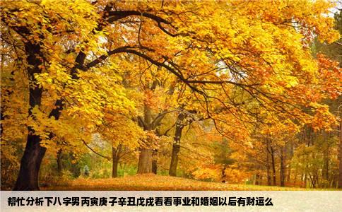 帮忙分析下八字男丙寅庚子辛丑戊戌看看事业和婚姻以后有财运么