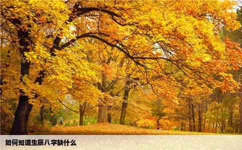 如何知道生辰八字缺什么