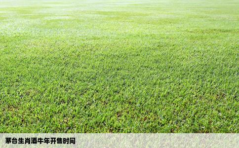 茅台生肖酒牛年开售时间