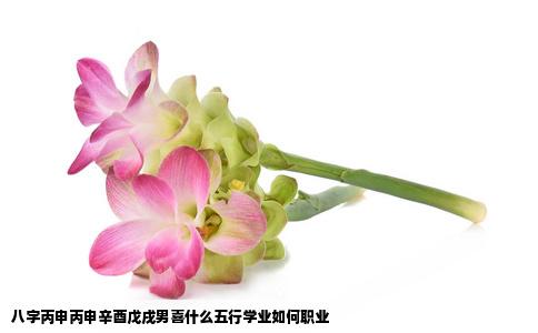八字丙申丙申辛酉戊戌男喜什么五行学业如何职业