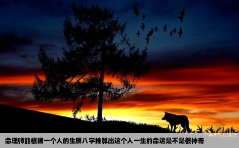 命理师能根据一个人的生辰八字推算出这个人一生的命运是不是很神奇