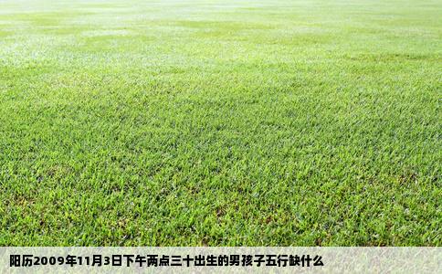 阳历2009年11月3日下午两点三十出生的男孩子五行缺什么