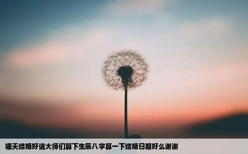 哪天结婚好请大师们算下生辰八字算一下结婚日期好么谢谢