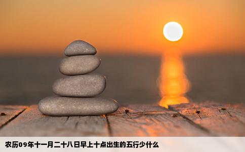 农历09年十一月二十八日早上十点出生的五行少什么